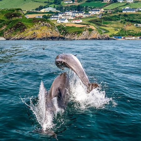Villa Realt Na Mara Killybegs Esterno foto